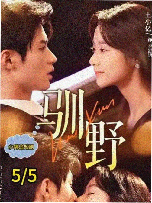 长夜列车 热播剧集更新